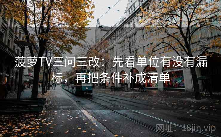 菠萝TV三问三改:先看单位有没有漏标,再把条件补成清单