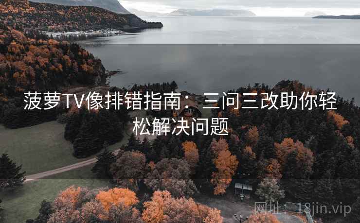 菠萝TV像排错指南：三问三改助你轻松解决问题  第2张