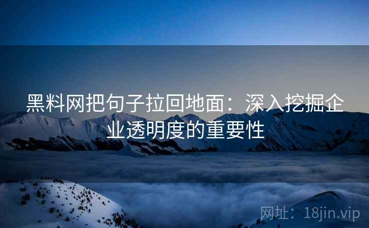 黑料网把句子拉回地面：深入挖掘企业透明度的重要性  第1张